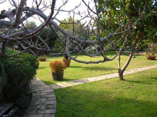 Villa Chiarenza Maison D'Hotes Giardini Naxos Exterior photo